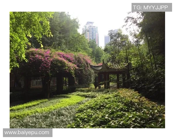 脏辫足球明星崛起背后故事揭秘 从街头到绿茵场的励志传奇